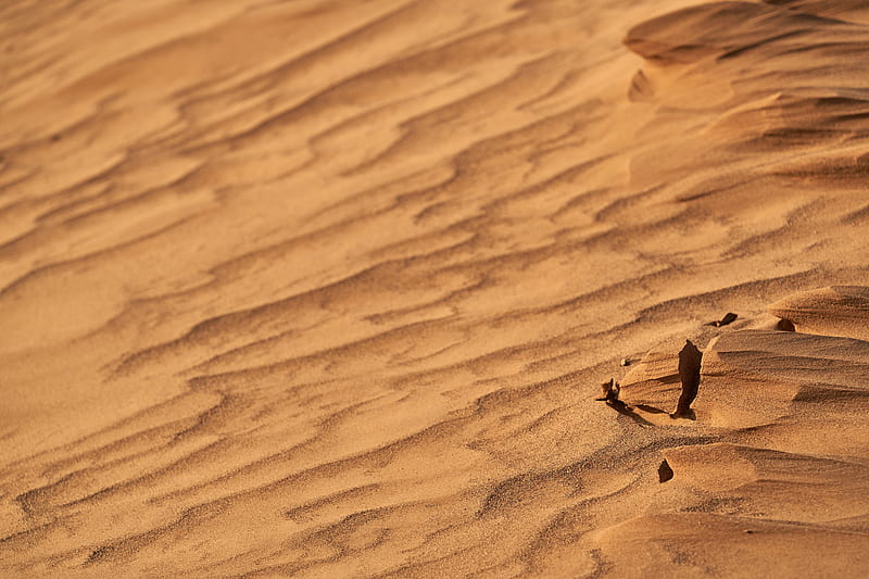 desert, sand, wavy, dry, HD wallpaper