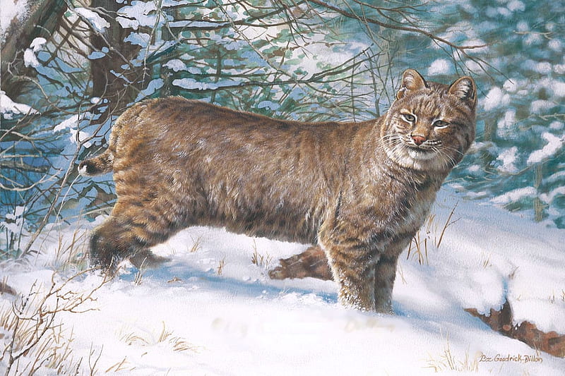 Bobcat in snow, cat, animal, winter, forest, painting, trees, HD wallpaper