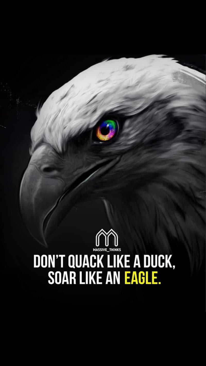 Eagles quotes Wallpapers Download