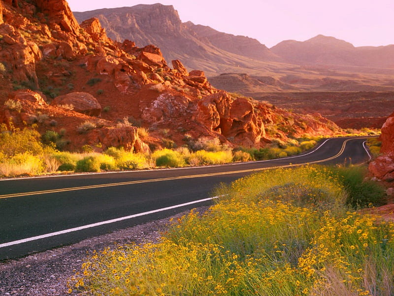 Valley of fire, rocks, red, grass, fiery, bonito, canyon, valley, mountain, nice, stones, flowers, road, lovely, mountainscape, sky, fire, meandering, summer, nature, HD wallpaper