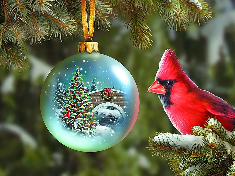 Christmas Dream, tree, bird, bridge, painting, christmas bulb, artwork, cardinal, HD wallpaper