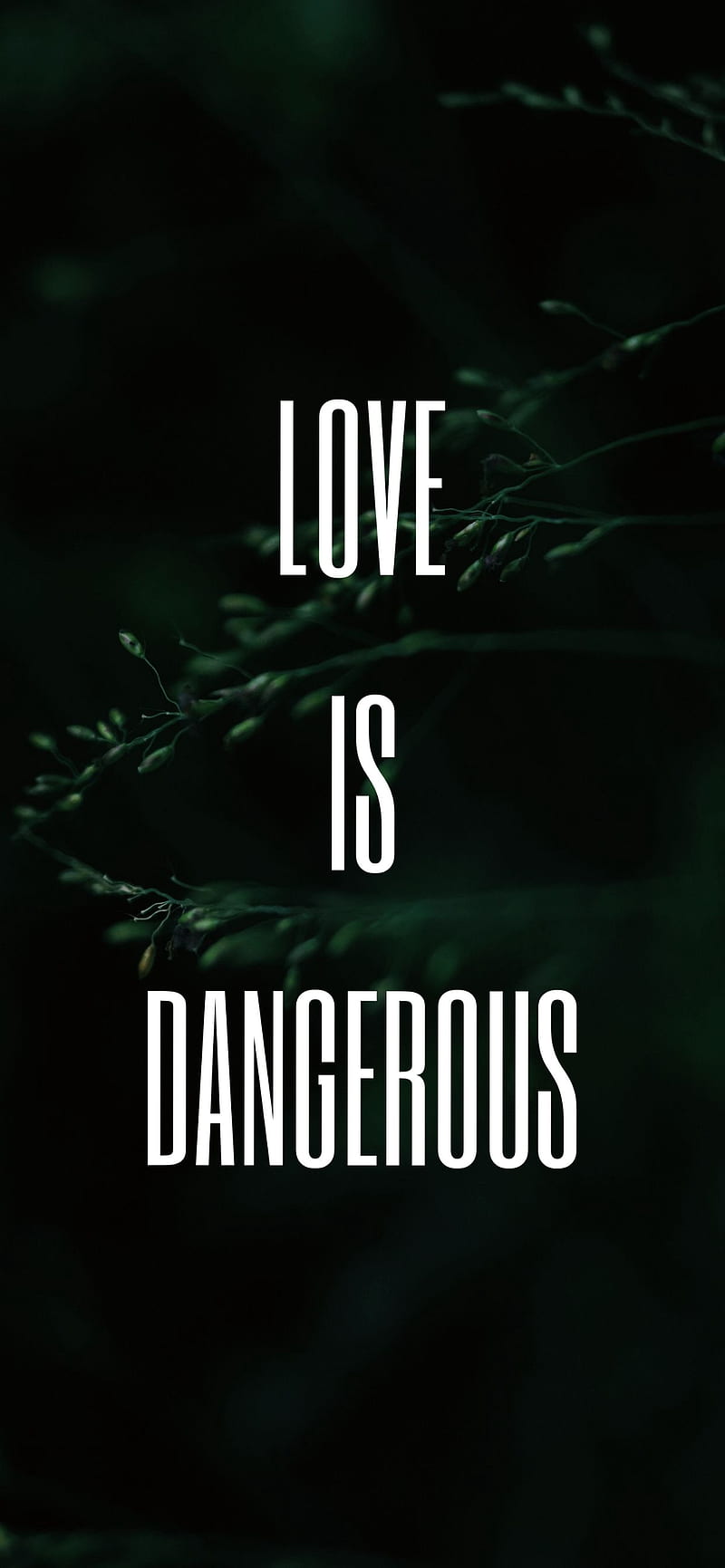 LOVE IS DANGEROUS, miss, no, perfect, prints, sand, sorry, swear, up, you,  HD phone wallpaper | Peakpx