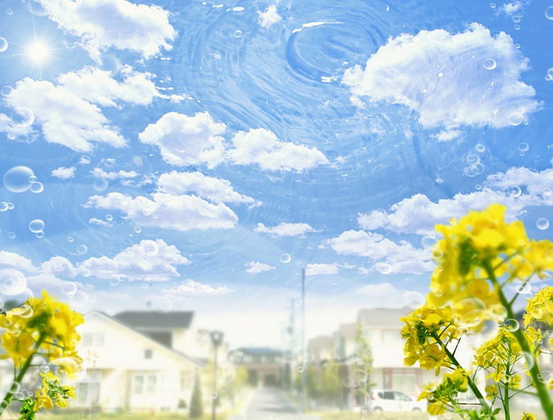 Blue sky and residential area, ripple water and flowers, water, flowers, yellow, nature, clouds, sky, blue, HD wallpaper