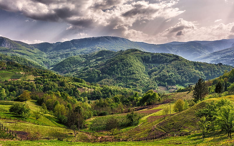 Zlatibor, mountain landscape, green hills, forest, Bajina Bauta, Serbia, HD wallpaper
