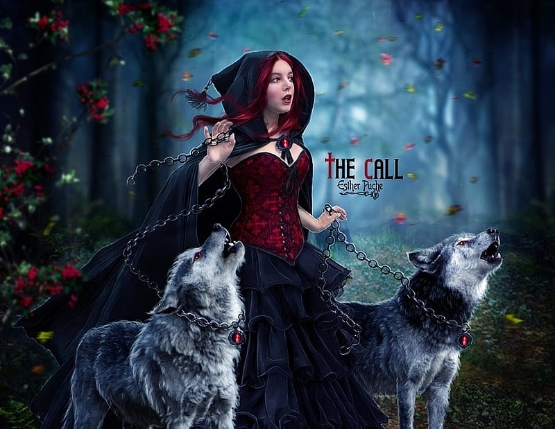 The call, forest, frumusete, luminos, red riding hood, animal, fantasy ...