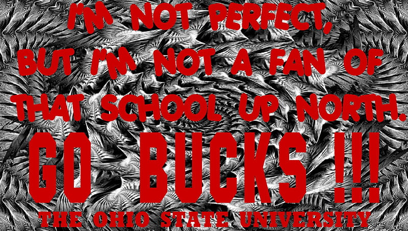I'M NOT PERFECT, BUT I'M NOT A FAN OF THAT SCHOOL UP NORTH., STATE, GO BUCKS, OHIO, BUCKEYES, HD wallpaper