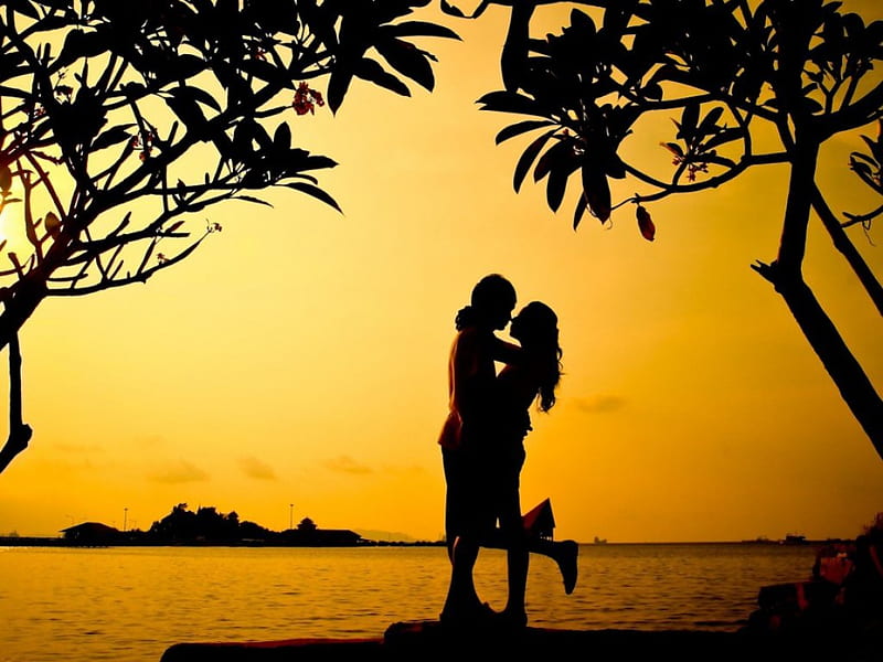 Sweet couple, lovers, silhouette, trees, couple, HD wallpaper