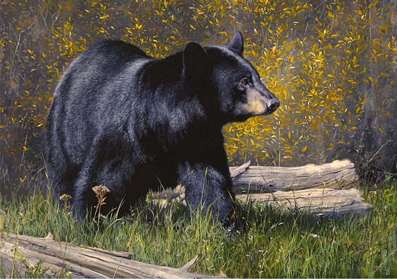 Big black Bear, painting, black, bear, grass, HD wallpaper
