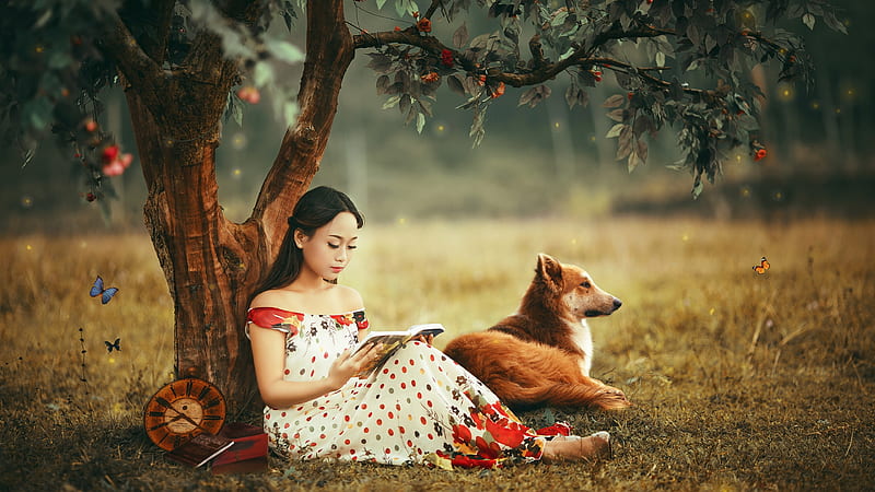 Asian Beauty, tree, beauty, read, woman, Asian, dog, HD wallpaper