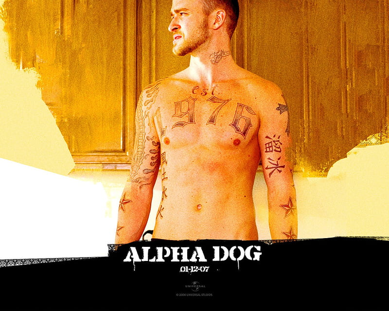Alpha Dog/True Story, fun, movie, entertainment, HD wallpaper