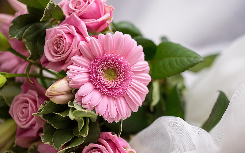gerberas, roses, bouquet, pink flowers, close-up, HD wallpaper