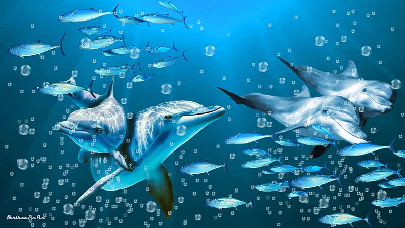 Dolphins under blue waters, clear water, fish, ocean, sea waters, bubbles underwater, blue fish, sea, sun beams, Dolphins, multiple dolphins, blue water, bubbles, fish schools, blue, sun beams underwater, fishing, underwater, underwater scenic, HD wallpaper