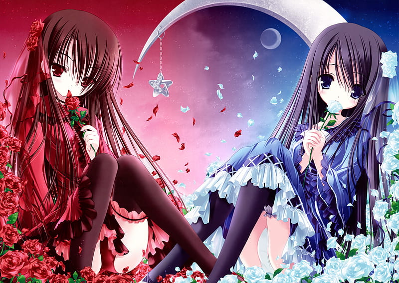 Sisters, red, dress, nice, moon, girl, anime, flowers, sister, blue, HD  wallpaper | Peakpx