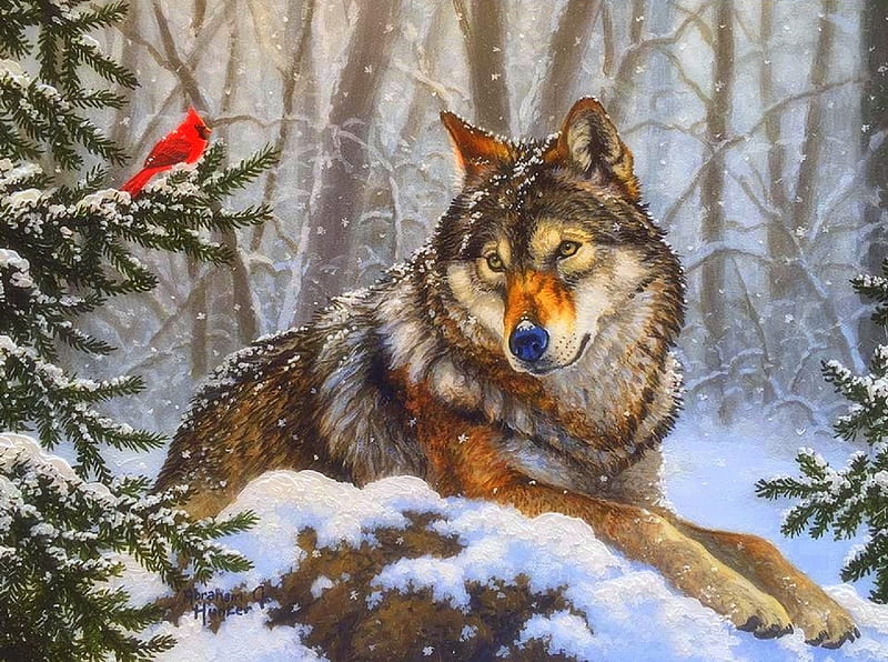 Peace of Winter, Christmas, holidays, love four seasons, attractions in dreams, xmas and new year, winter, snow, wolf, cardinal, animals, HD wallpaper