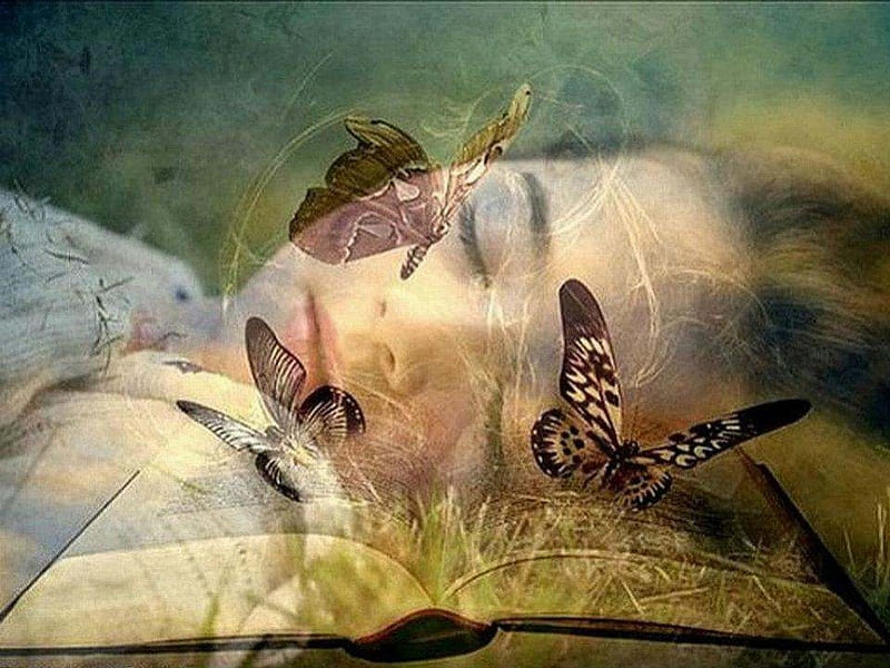 Butterfly Dreams