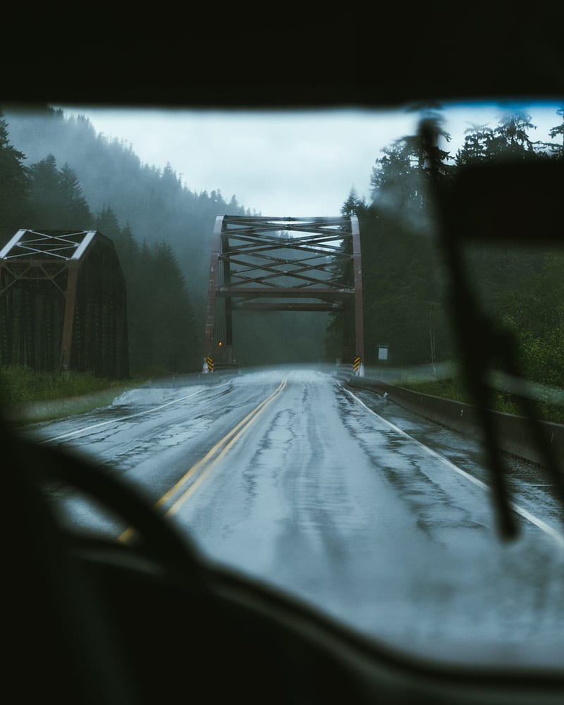 portrait display, rain, road, pine trees, wet road, forest, trees, bridge, inside a car, HD phone wallpaper