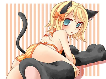 HD sexy catgirls wallpapers