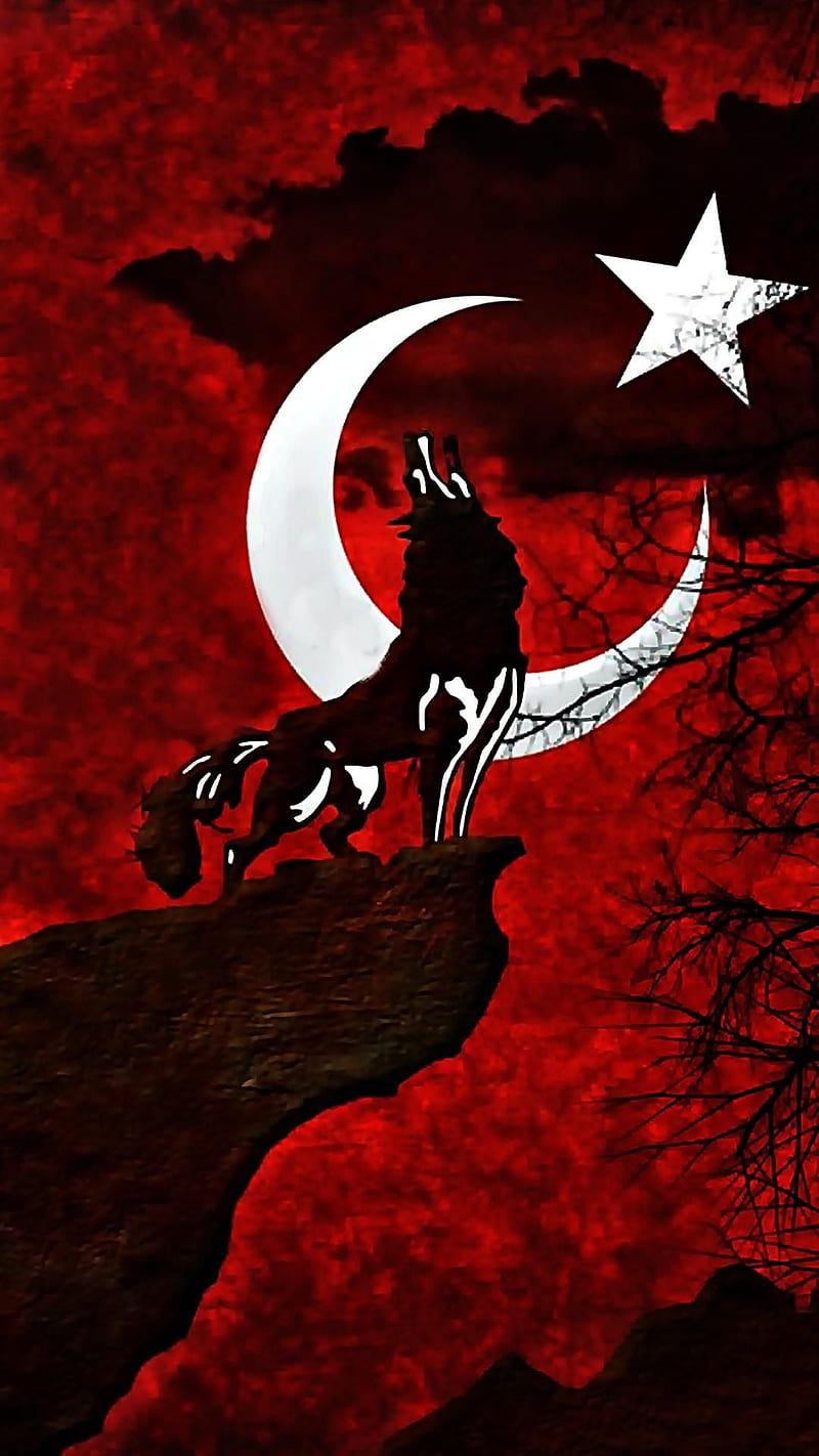 Turkiye, turk, HD phone wallpaper