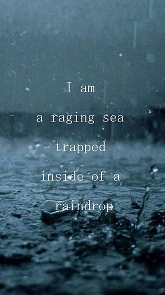 love in the rain quotes