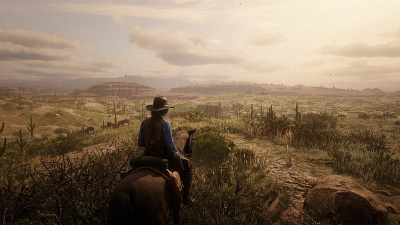 Video Game, Red Dead Online, Red Dead Redemption 2, HD wallpaper