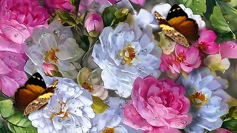 White Roses & Butterflies, butterflies, spring, roses, peonies, bright, summer, flowers, garden, dew drops, Firefox Persona theme, HD wallpaper