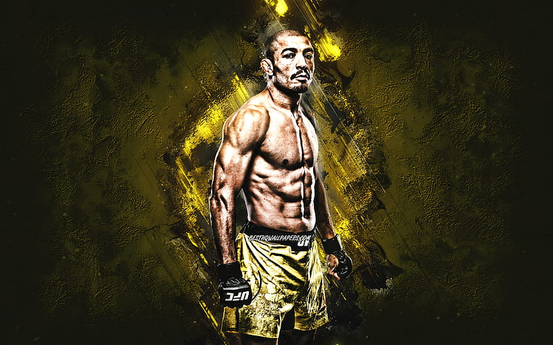 Jose Aldo, UFC, brazilian fighter, MMA, portrait, yellow stone background, HD wallpaper