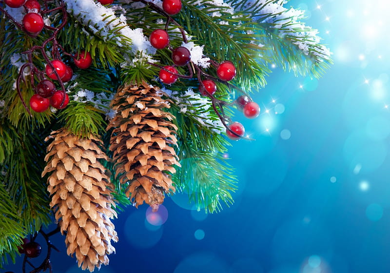 Merry Christmas, pretty, christmas tree, holidays, bonito, magic, snowy, xmas, sweet, bokeh, magic christmas, beauty, blue, lovely, holiday, christmas, new year, winter time, happy nea year, winter, tree, snow, HD wallpaper