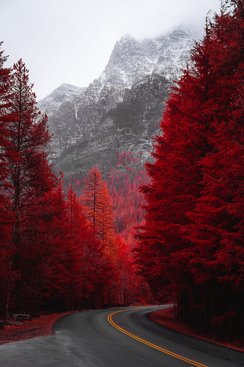 road, turn, trees, red, mountain, landscape, HD phone wallpaper