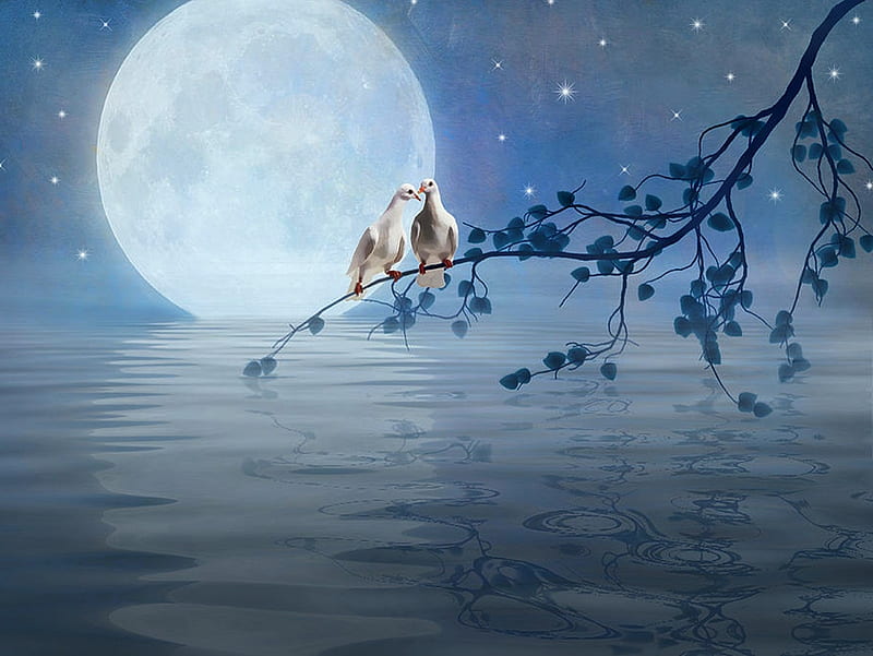 Love Birds by the Light of the Moon, birds, bonito, digital art, sky, moon, paintings, cool, nature, blue, HD wallpaper