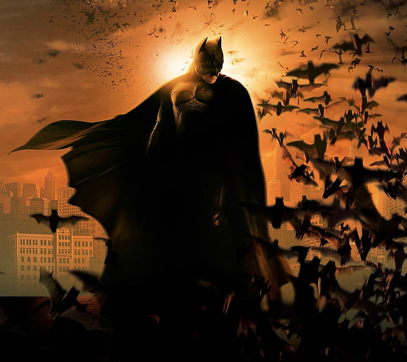 Darker Knight, batman, bats, dark, gotham, joker, movie, nolan, robin, HD wallpaper