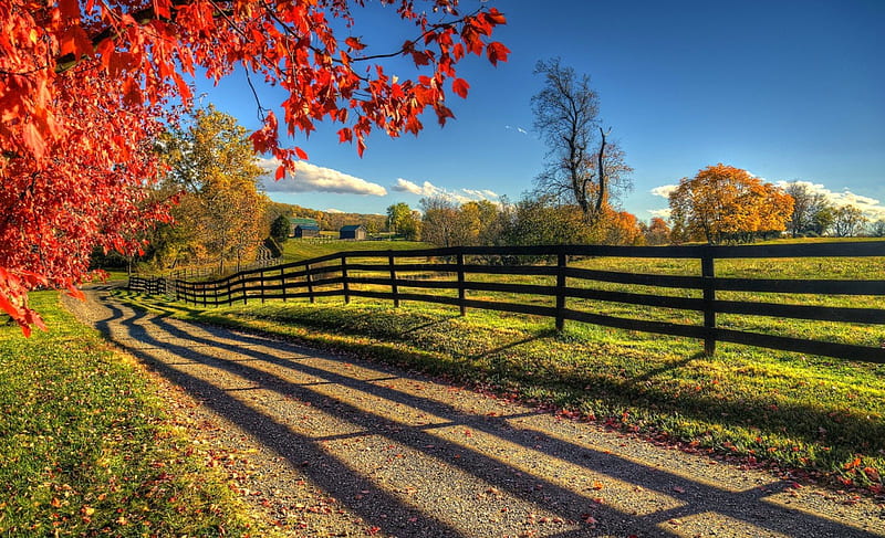 Autumn Morning On The Farm, red, dirt road, fence, grass, autumn leaves, yellow, bonito, Virginia, white clouds, trees, rural house, green, field, blue, HD wallpaper
