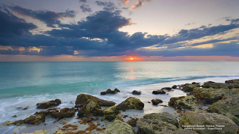 Gulf of Mexico Beach in Venice, Florida, oceans, beaches, sunsets, nature, clouds, HD wallpaper