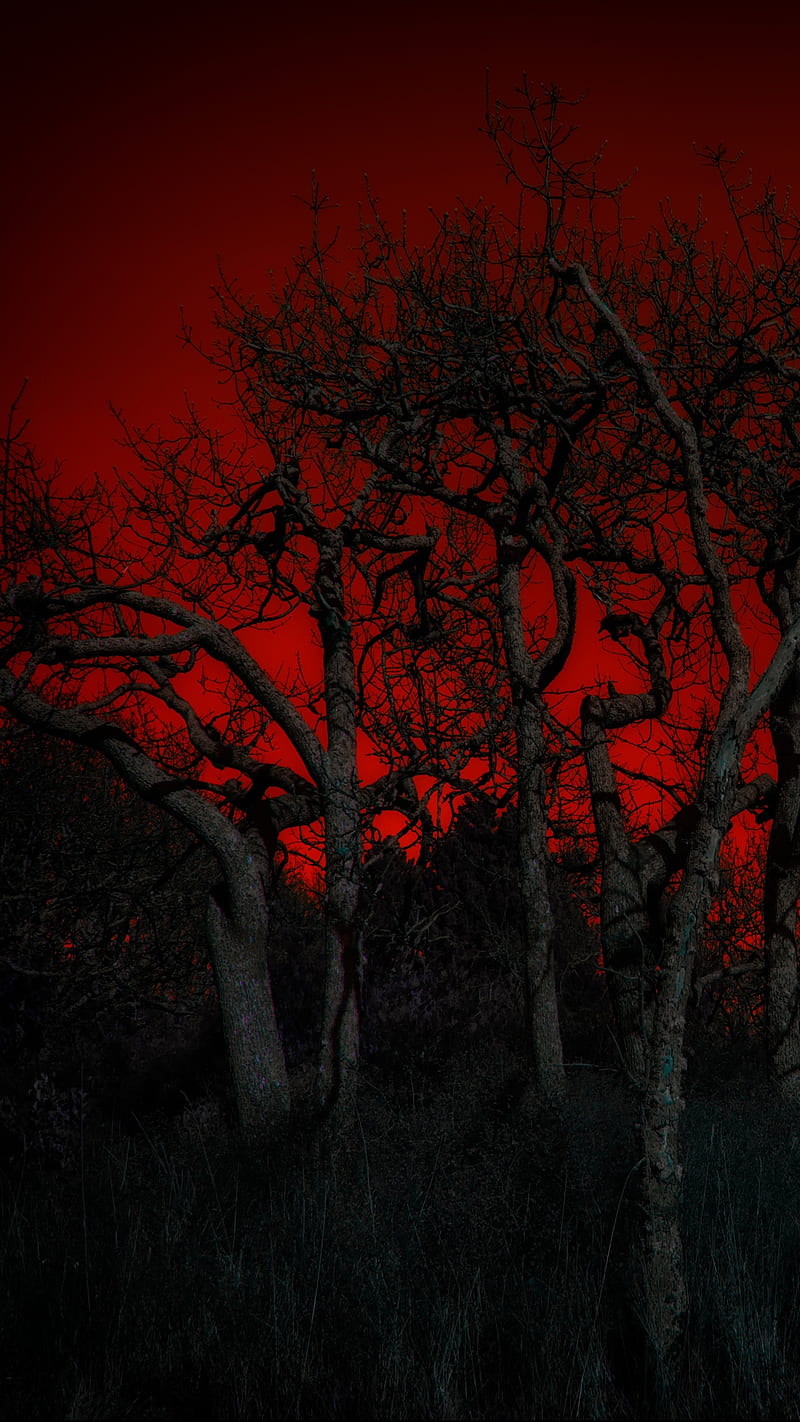 Dark Red Forest , tree, plant, jungle, scary, horror, HD phone wallpaper