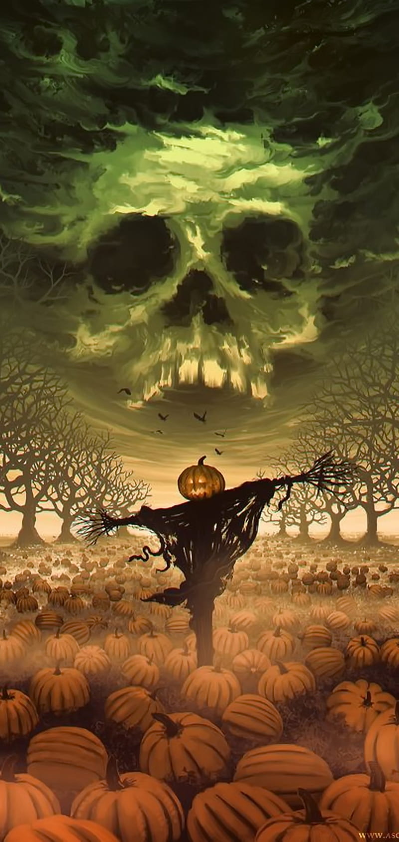Halloween scarecrow, dark, galaxy, green, note 10, pumpkins, samsung, skull, sky, HD phone wallpaper