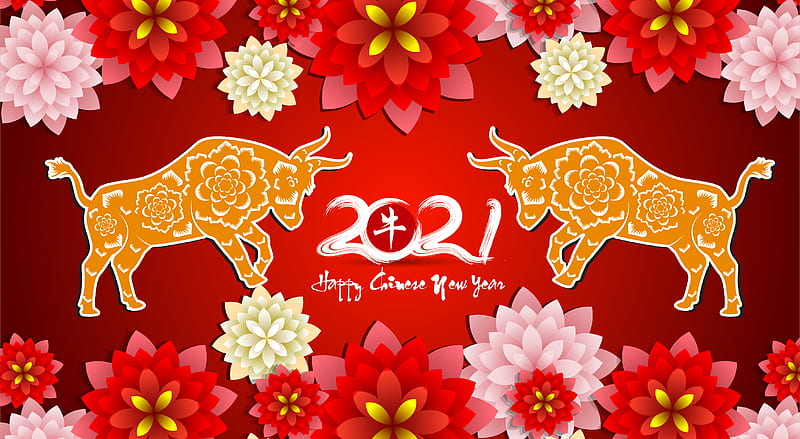 Holiday, Chinese New Year, Bull, Flower, New Year 2021, HD wallpaper