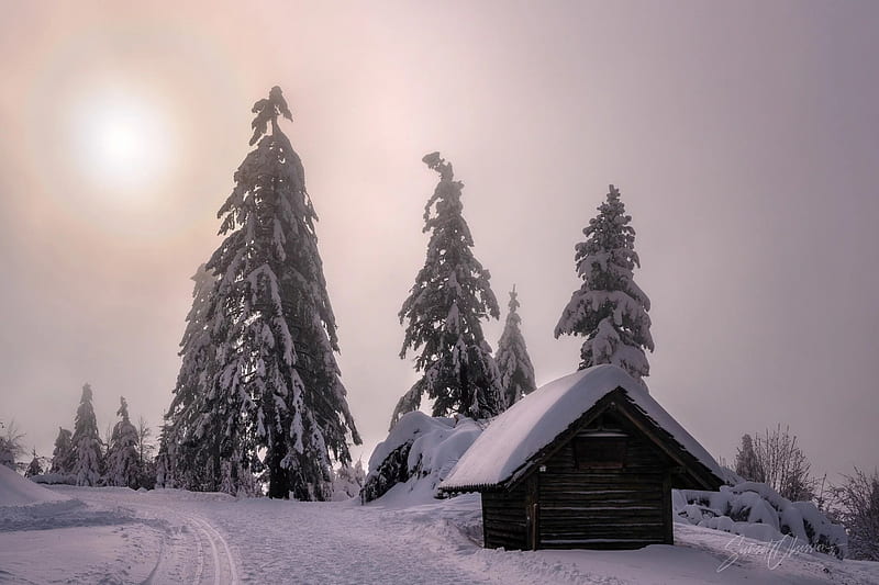 Beautiful Places to Enjoy Winter in the Northern Black Forest - Sunset Obsession, HD wallpaper