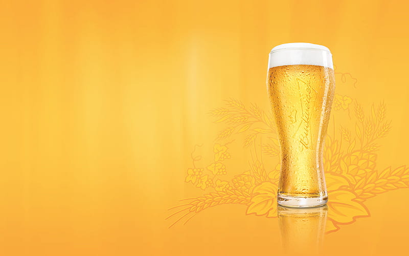 Beer, HD wallpaper