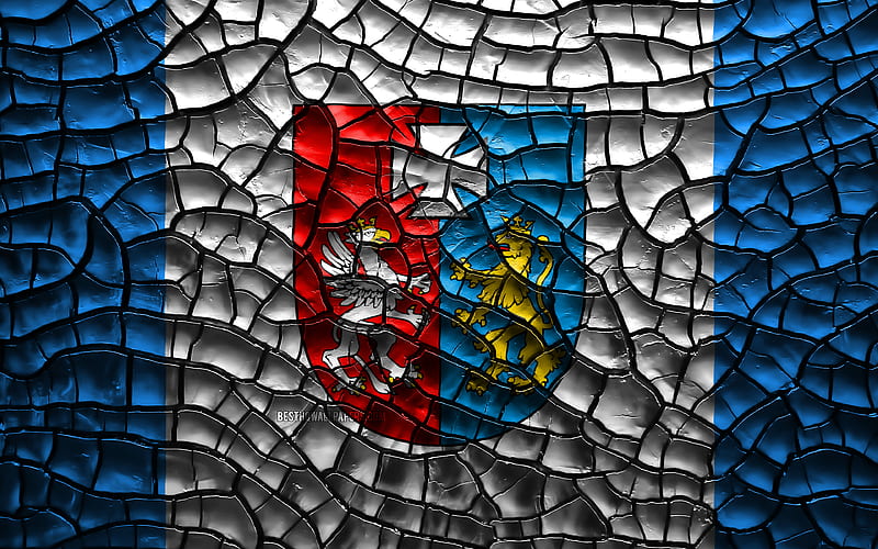Flag of Podkarpackie polish voivodeships, cracked soil, Poland, Podkarpackie flag, 3D art, Podkarpackie, Voivodeships of Poland, administrative districts, Podkarpackie 3D flag, Europe, HD wallpaper