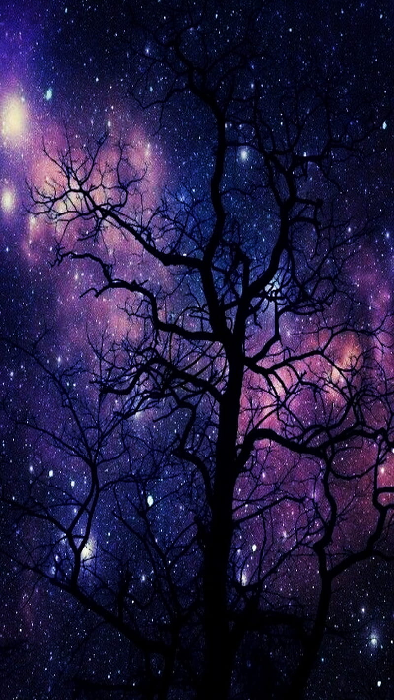 Purple Sky, stars, trees, HD phone wallpaper