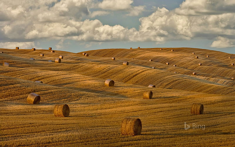 Hay bales in Tuscany Italy, Hay, Tuscany, Bales, In, Italy, HD wallpaper