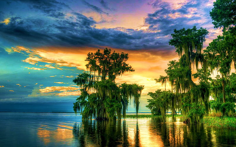 Lake Istokpoga, Florida, cypress, water, usa, sunset, clouds, sky, reflections, HD wallpaper