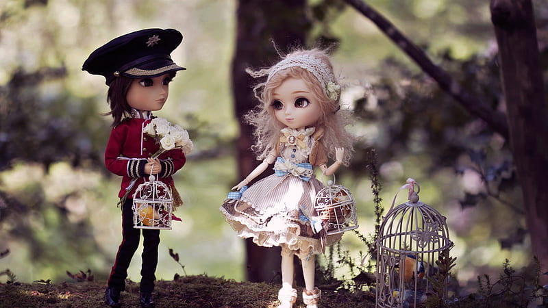 Girl And Boy Toy With Bird Cage Doll, HD wallpaper