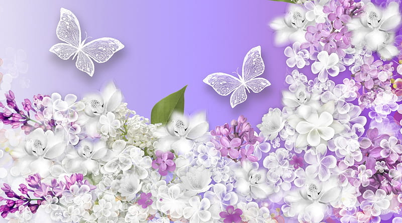 Sweet Fragrance of Lilacs, perfume, glow, lacy, fragrant, shine, plumeria, butterflies, spring, lavender, lilacs, purple, HD wallpaper
