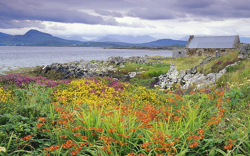 Ireland- Callaway Bay, HD wallpaper