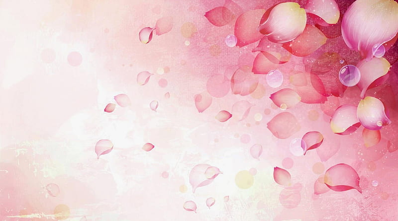 Pink Serenity, Rosewater, Pink, Flower Petals, Rose Petals, Bubbles, Femininity, Soft, Roses, HD wallpaper