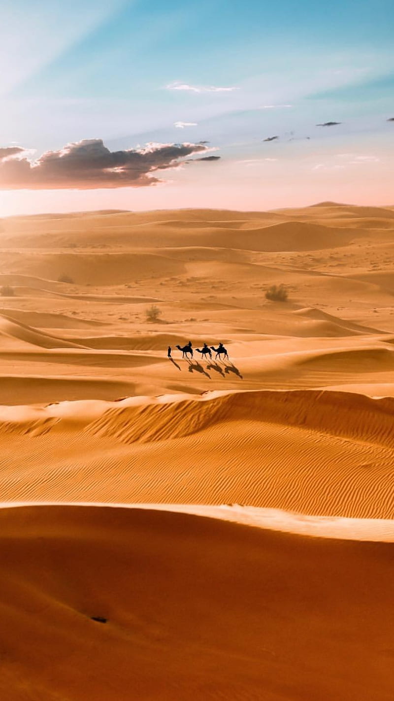 Sahara, desert, dunes, nature, sand, HD phone wallpaper