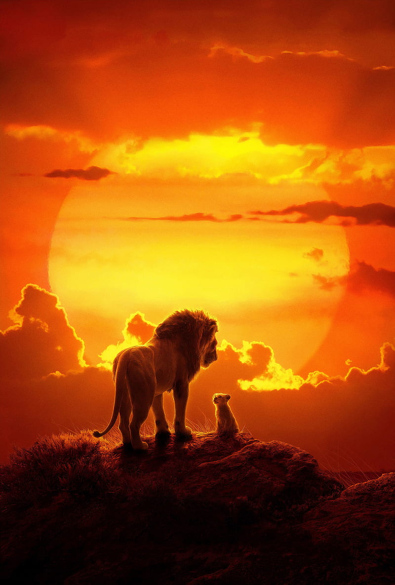 The Lion King 2019 Movie, HD phone wallpaper