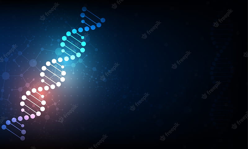 Premium Vector. Abstract science concept with a dna molecules, Cool Abstract Science, HD wallpaper