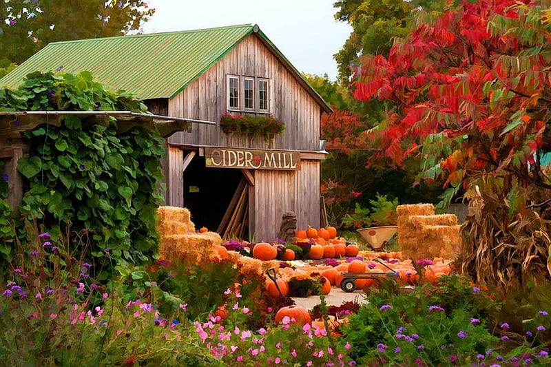 Old Cider Mill in Vermont, fall, autumn, house, leaves, usa, trees, pumpkins, HD wallpaper
