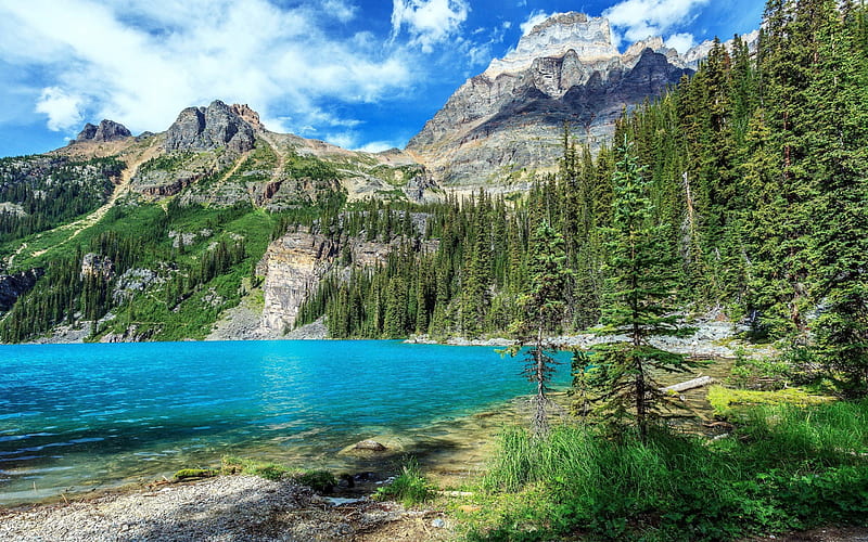 tree, mountain landscape, forest, lake, mountains, canada, HD wallpaper